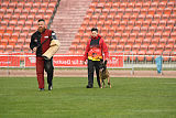Axel Marshall Dogs