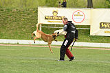 Usir Anubis the second
