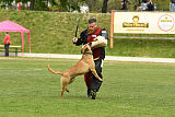 Usir Anubis the second