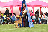 Usir Anubis the second
