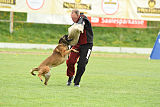 Baxter Ostraryka
