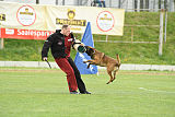 Baxter Ostraryka