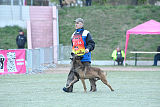 Ullhedens Yago