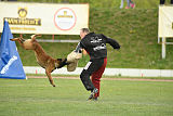 Waild Marinchuk K-9