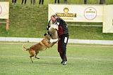 Monty Extra Temperament