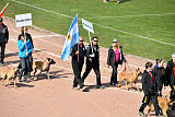 Siegerehrung, Victory Ceremony