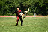 Lugh de l'origine de faucon rouge