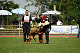 Bazooka unter schwarzer Flagge