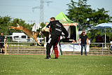 Bazu unter schwarzer Flagge