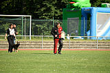 Bazu unter schwarzer Flagge