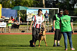 Aiven van de Twentehoeve