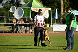 Aiven van de Twentehoeve