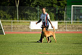 Aiven van de Twentehoeve