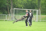 Ebby Fly Dogs Attak