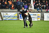 Ebby Fly Dogs Attak