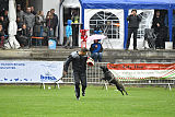 Ebby Fly Dogs Attak