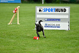 Ebby Fly Dogs Attak