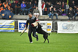 Excalibur le Gladiateur