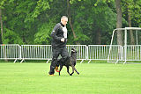 Austrian High Spirit Agent Ayk