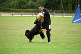 Enzo vom Bergischen Löwen