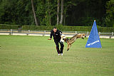 Henrik vom Wolfsheim