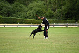 Max vom Mochauer Land
