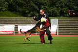 Bak Malinois of Sprajc