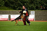 Bak Malinois of Sprajc