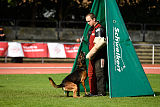 Bak Malinois of Sprajc