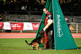 Bak Malinois of Sprajc