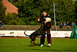 Buddy vom Hexenzauber