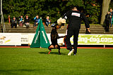 Buddy vom Hexenzauber