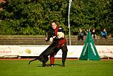 Buddy vom Hexenzauber