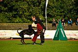 Buddy vom Hexenzauber
