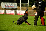 Buddy vom Hexenzauber