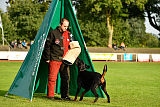 Buddy vom Hexenzauber