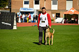 Quo Vadis Canis Bebeto