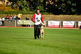 Quo Vadis Canis Bebeto