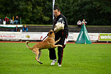 Quo Vadis Canis Bebeto