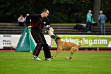 Quo Vadis Canis Bebeto