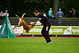 Quo Vadis Canis Bebeto
