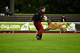 Quo Vadis Canis Bebeto