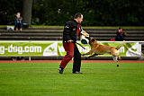 Quo Vadis Canis Bebeto