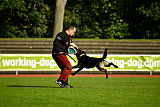 Gero z Berounske basty