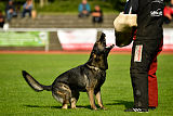 Gero z Berounske basty