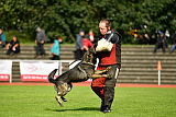 Gero z Berounske basty