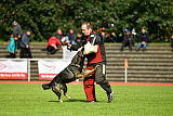 Gero z Berounske basty