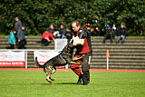 Gero z Berounske basty