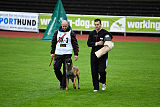 Aramis Red Devils Dog