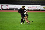 Aramis Red Devils Dog